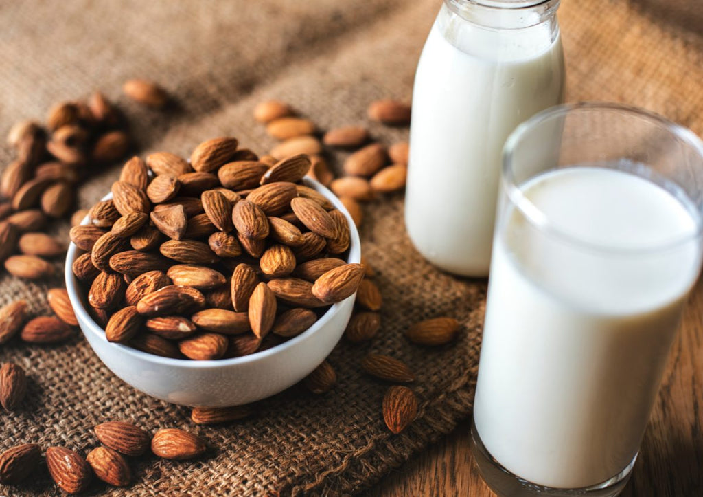 Why Is Protein Important And How Does It Help The Body?