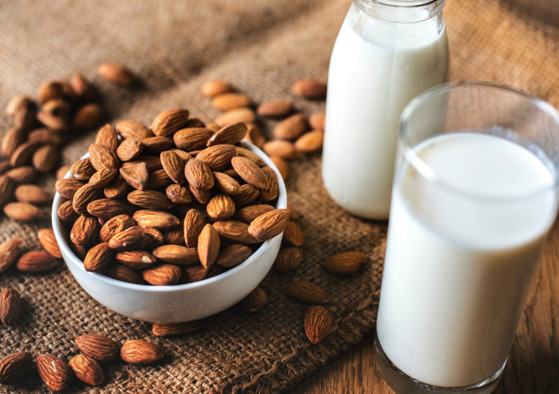 Why Is Protein Important And How Does It Help The Body?