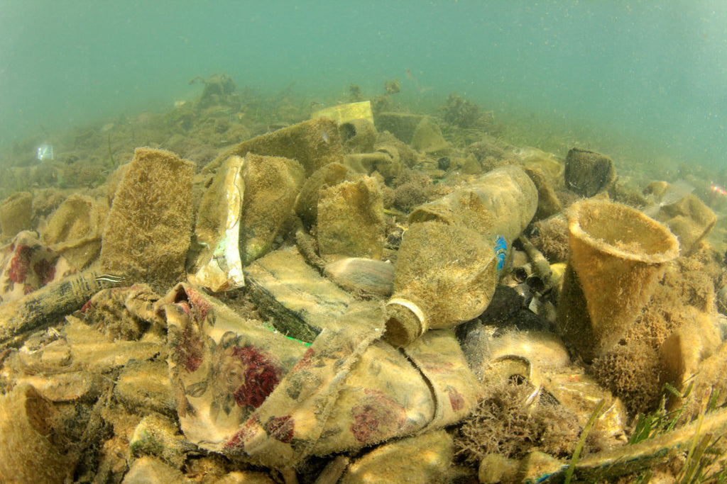 The Dangers Of Plastic And 15 Healthier Alternatives
