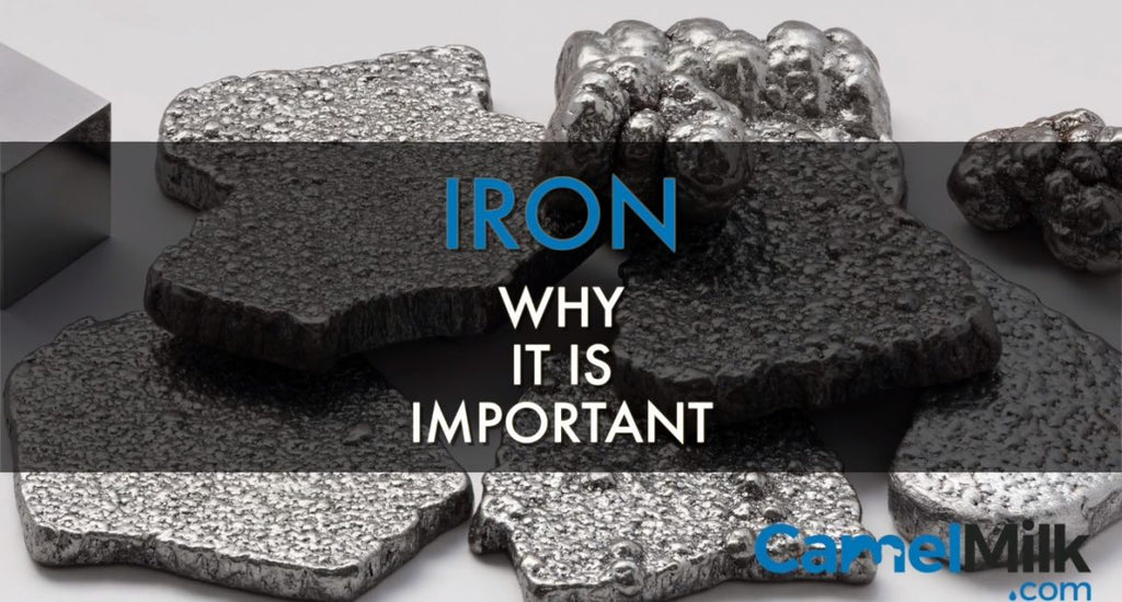 Why Is Iron Important For Your Health? An Investigation