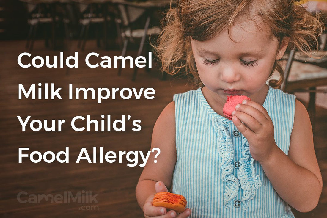 Healing for Your Child’s Food Allergies: Camel Milk Benefits