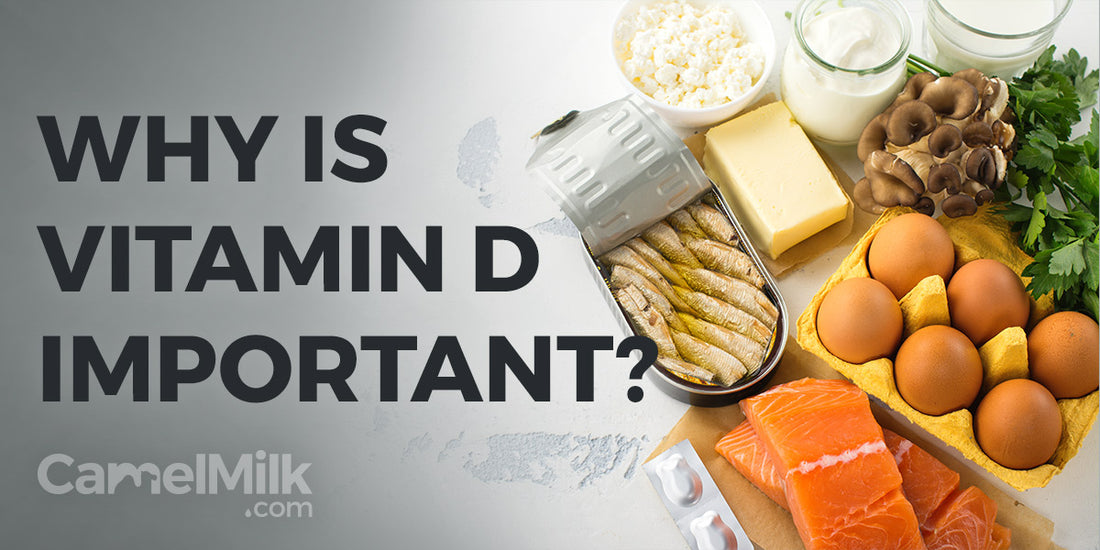 Why Is Vitamin D Important For Your Health? An Investigation
