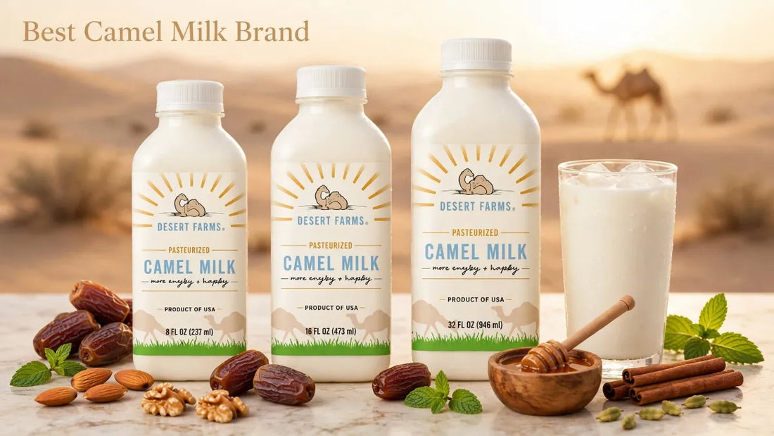 Best Camel Milk Brand: How to Choose the Right One