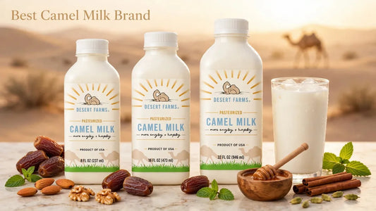 Best Camel Milk Brand: How to Choose the Right One