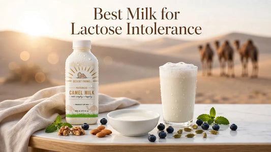 Best Milk for Lactose Intolerance: Is Camel Milk a Good Choice?