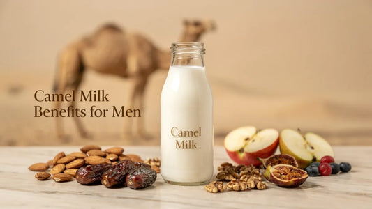 Camel Milk Benefits for Men: Muscle, Stamina & Recovery