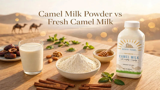 Camel Milk Powder vs Fresh Camel Milk: Is It as Fresh?