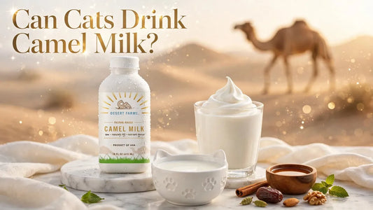 Can Cats Drink Camel Milk? Safety, Risks and Tips