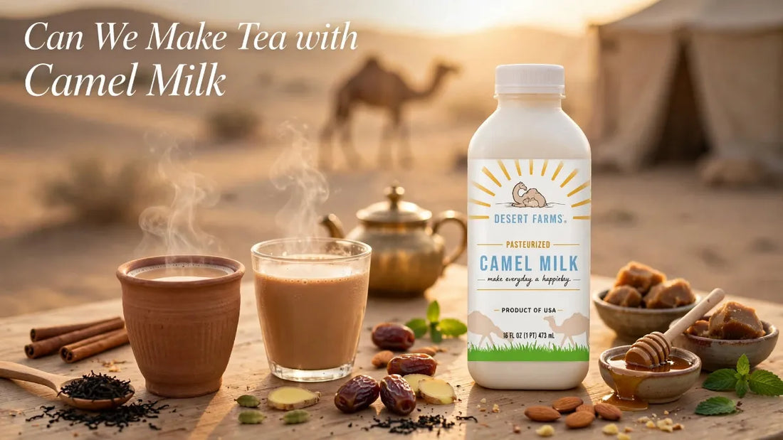 Can We Make Tea with Camel Milk? Recipe and Tips