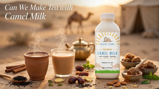Can We Make Tea with Camel Milk? Recipe and Tips