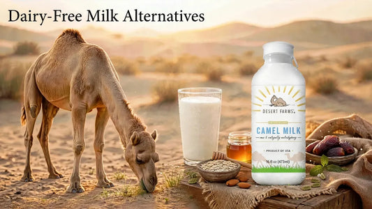 Dairy-Free Milk Alternatives: How to Choose the Best Option
