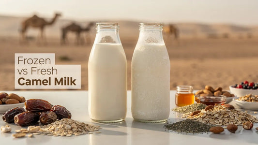 Frozen vs Fresh Camel Milk: Which One Is Better?