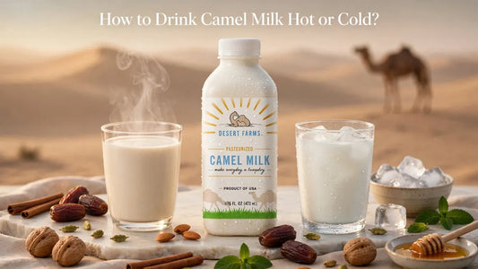 How to Drink Camel Milk Hot or Cold?