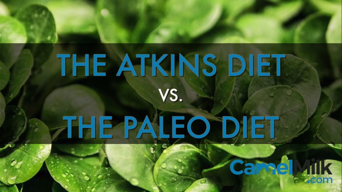 Atkins vs. Paleo: Comparing Best Diets For Health