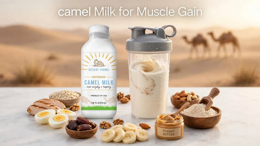 camel Milk for Muscle Gain: Which Type Is Best and How Much Should You Drink?