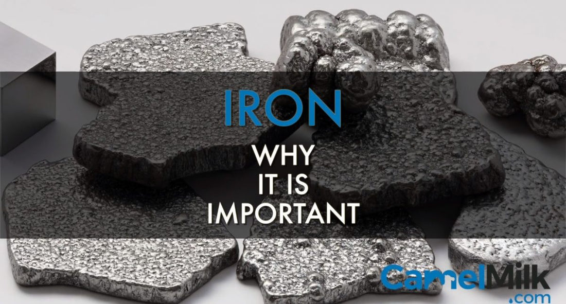 Why Is Iron Important For Your Health? An Investigation